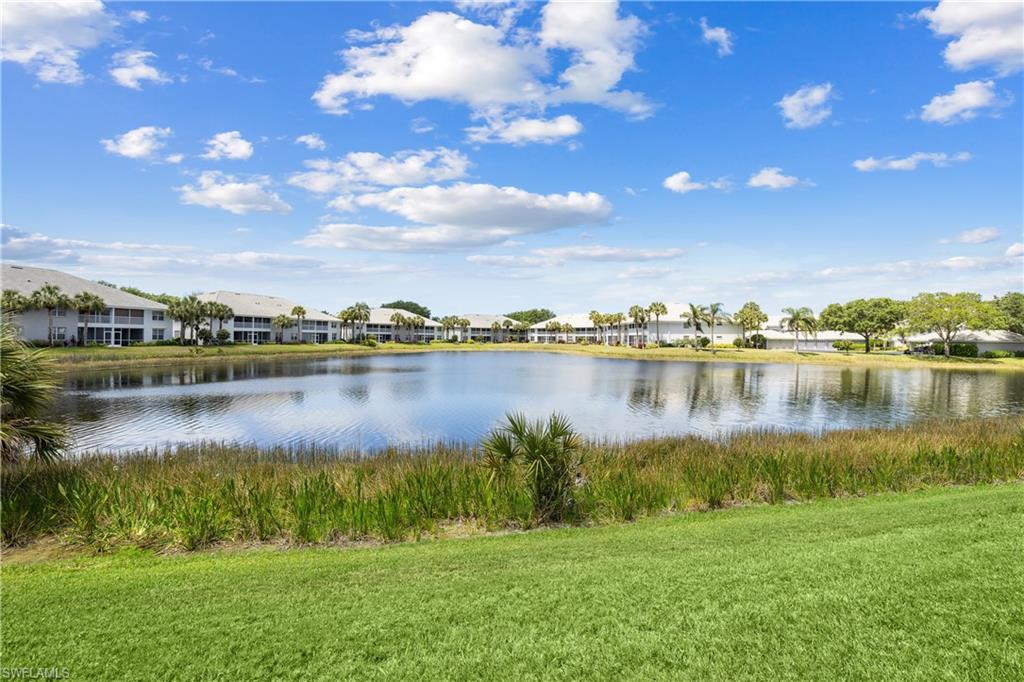 Lakefront View