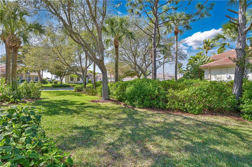 View of grassy yard