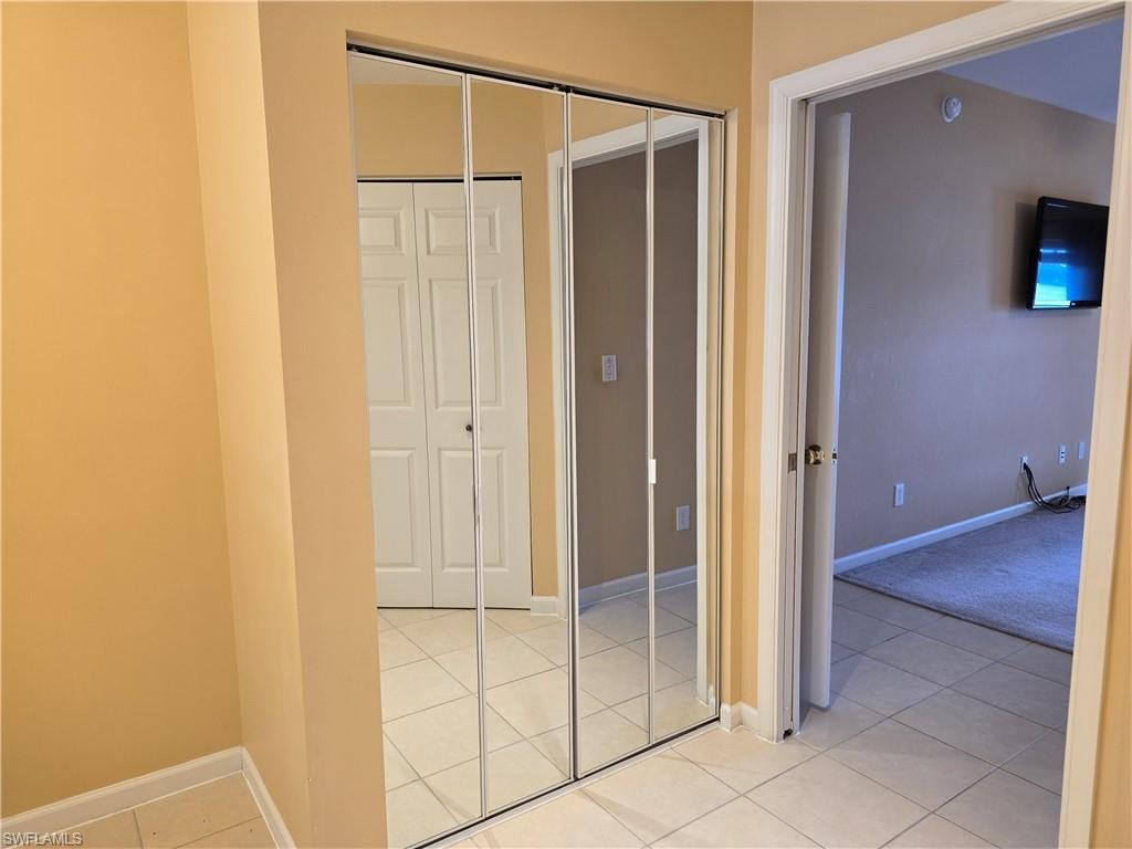 Mirrored doors