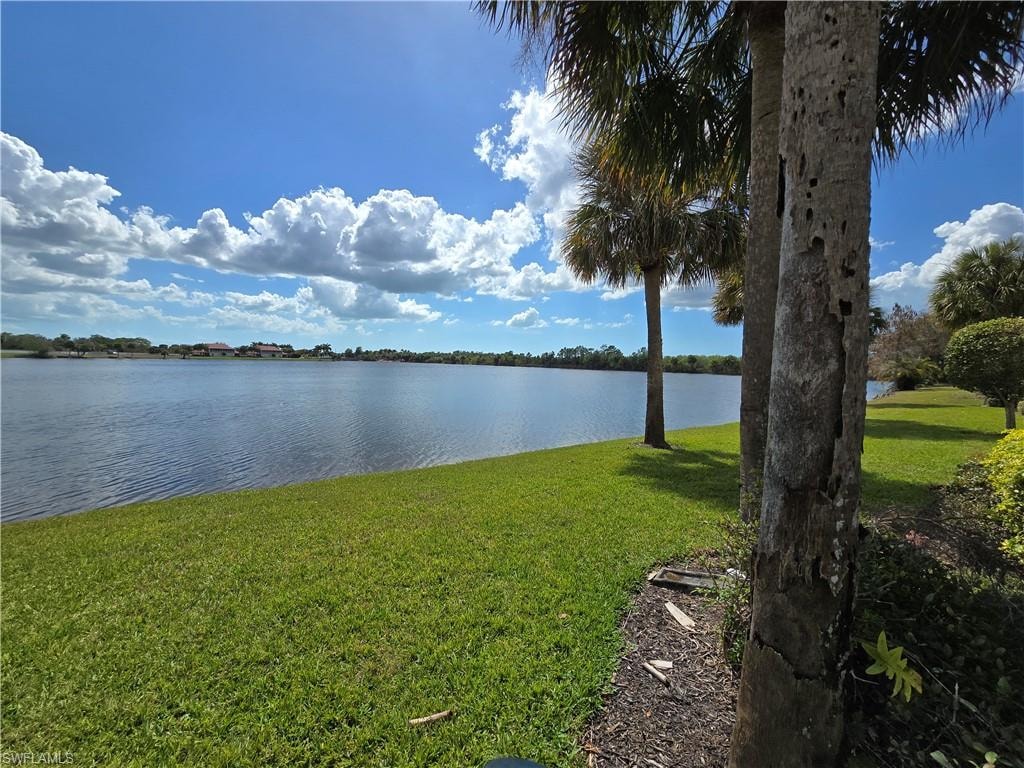 Lake view