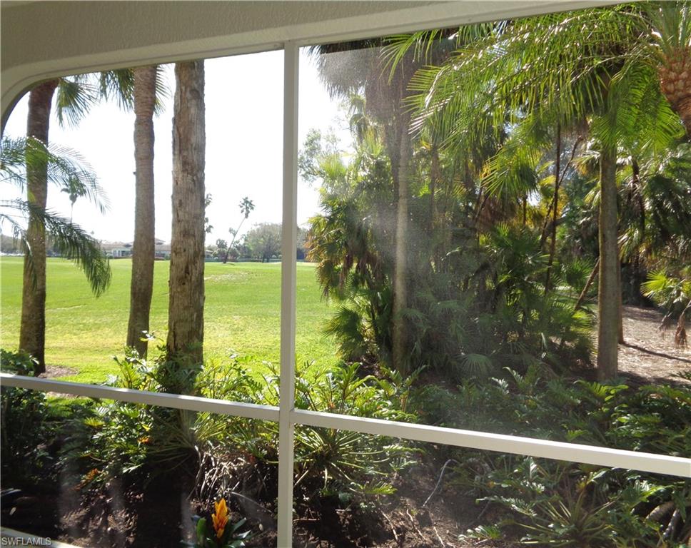 View of grassy yard