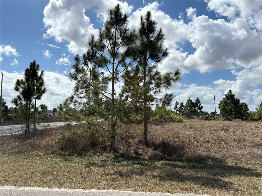 View of undeveloped land
