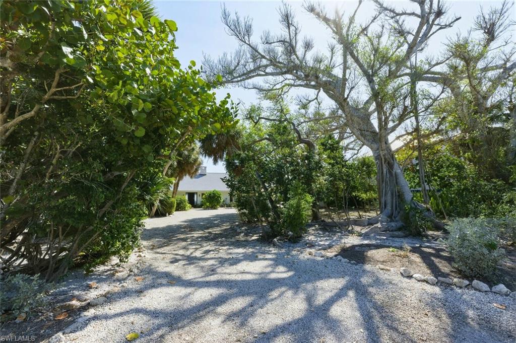 view of driveway