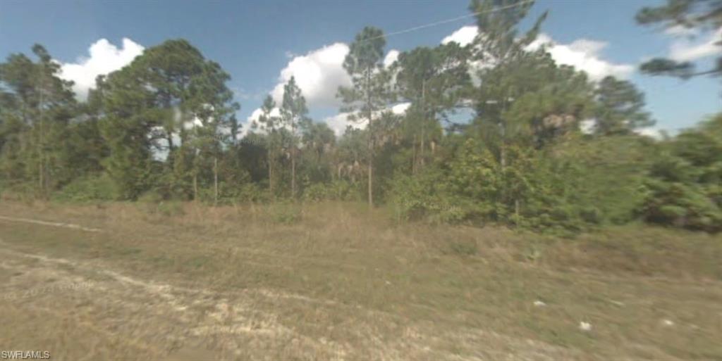 View of local wilderness
