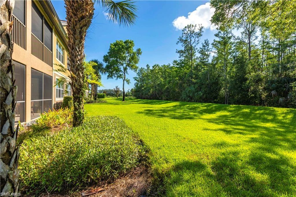 View of grassy yard