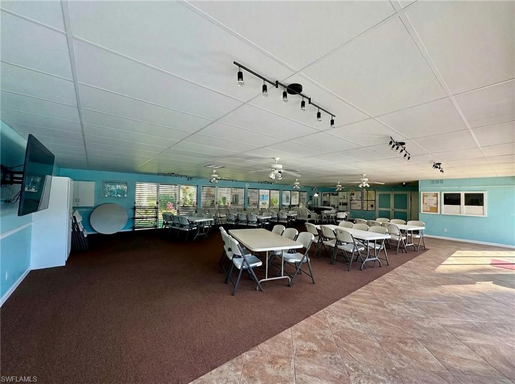 Carpeted dining room with a ceiling fan, a drop ceiling, and rail lighting