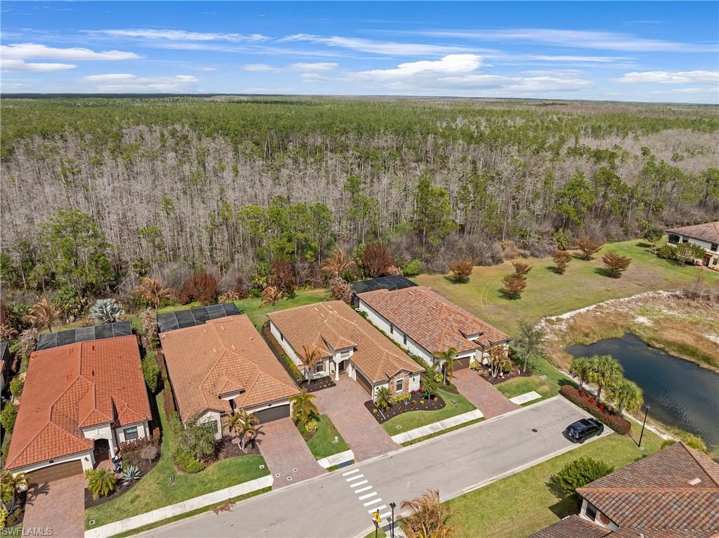 Aerial view of residential area featuring a forest and a large body of water