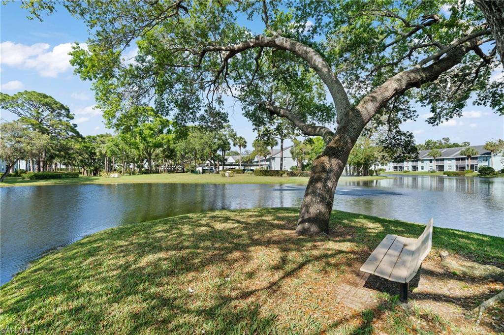 Water view