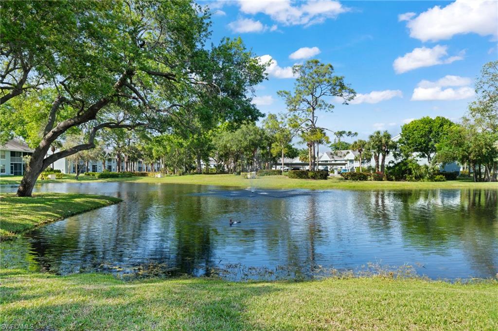 Water view