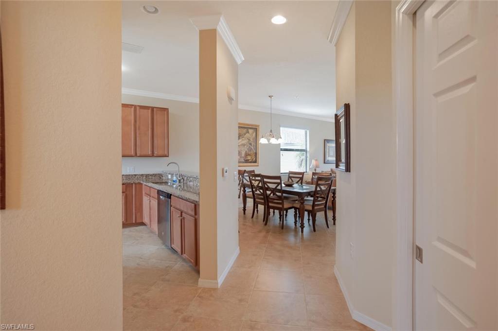 9731 Acqua CT 531