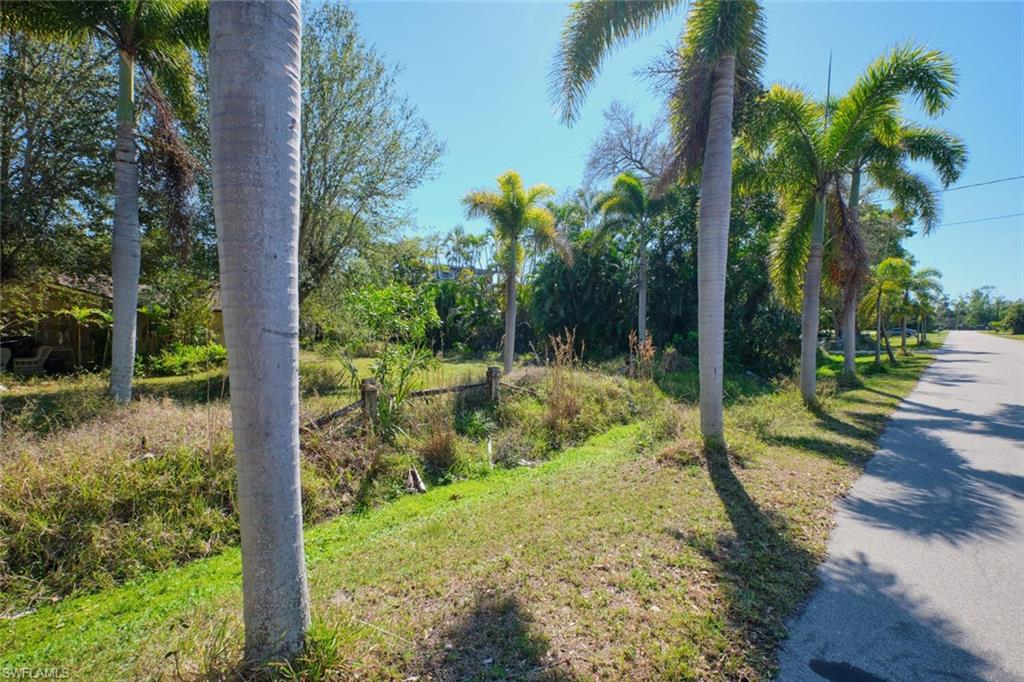 15341 Will Lew LN photo 16