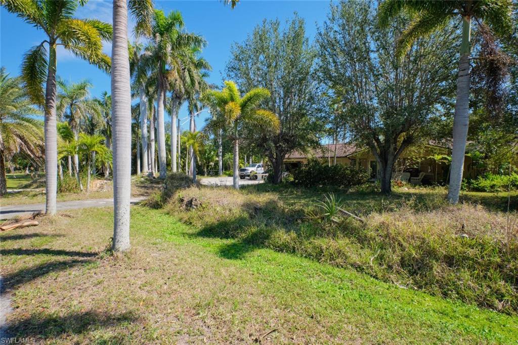 15341 Will Lew LN photo 18