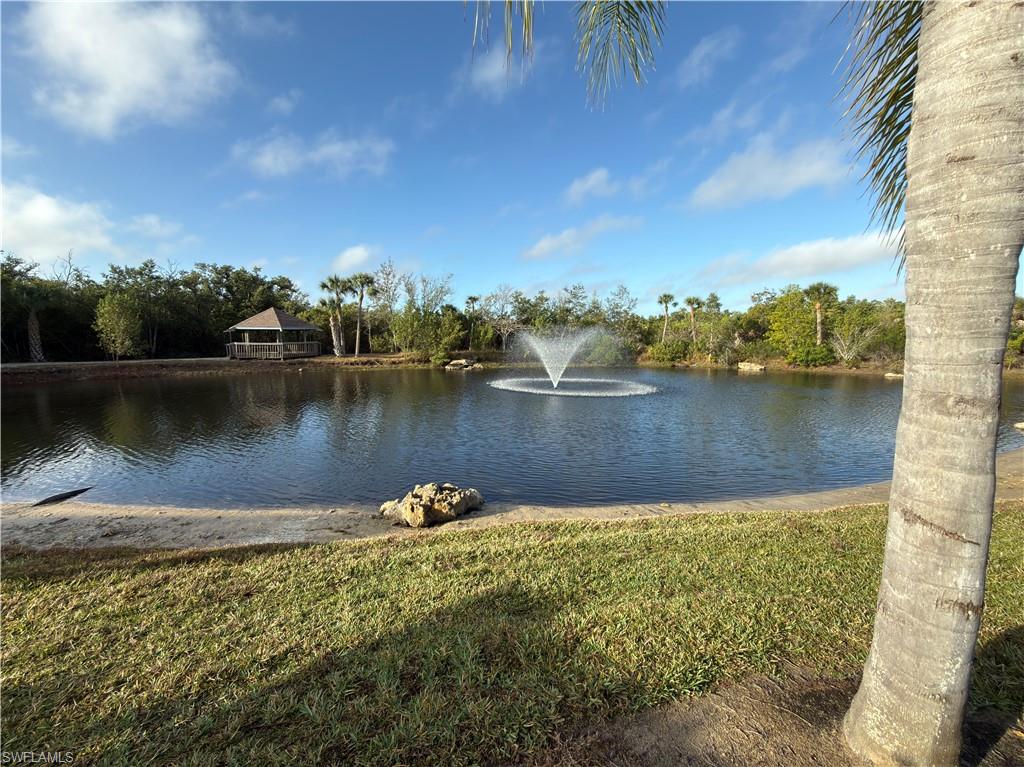 Water view