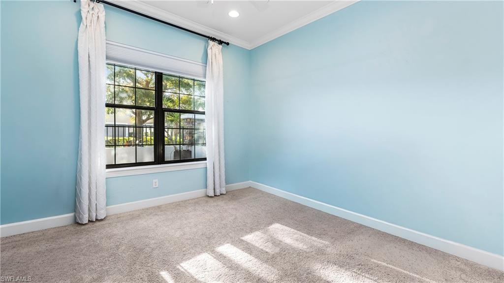 8591 Maggiore CT photo 34