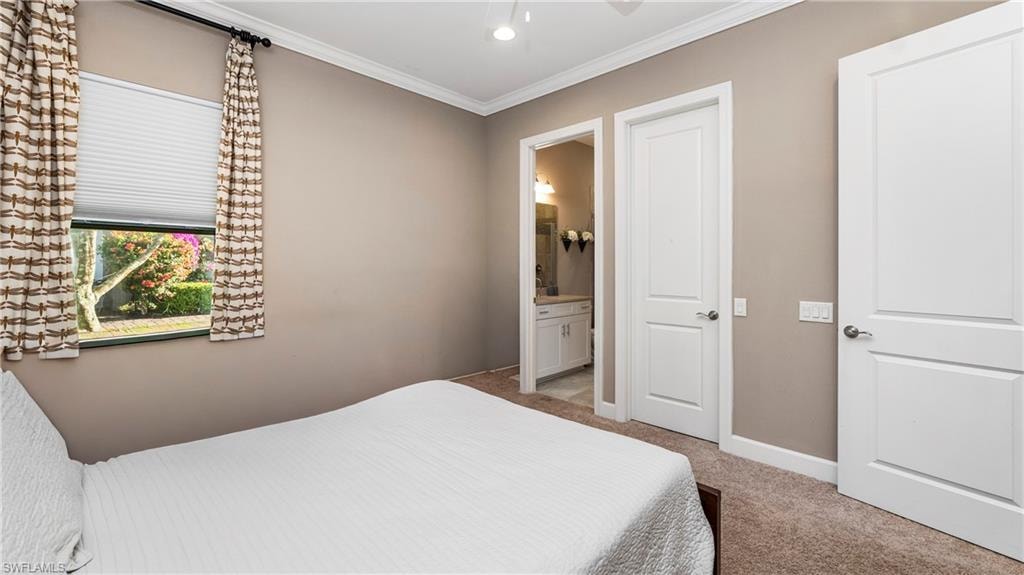 8591 Maggiore CT photo 38