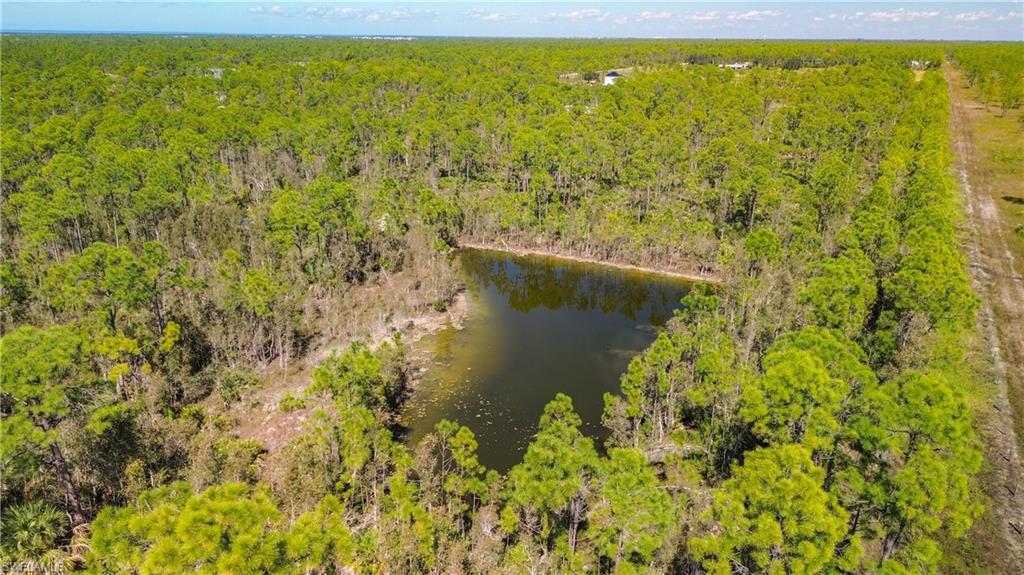 Aerial view of a large body of water and a forest