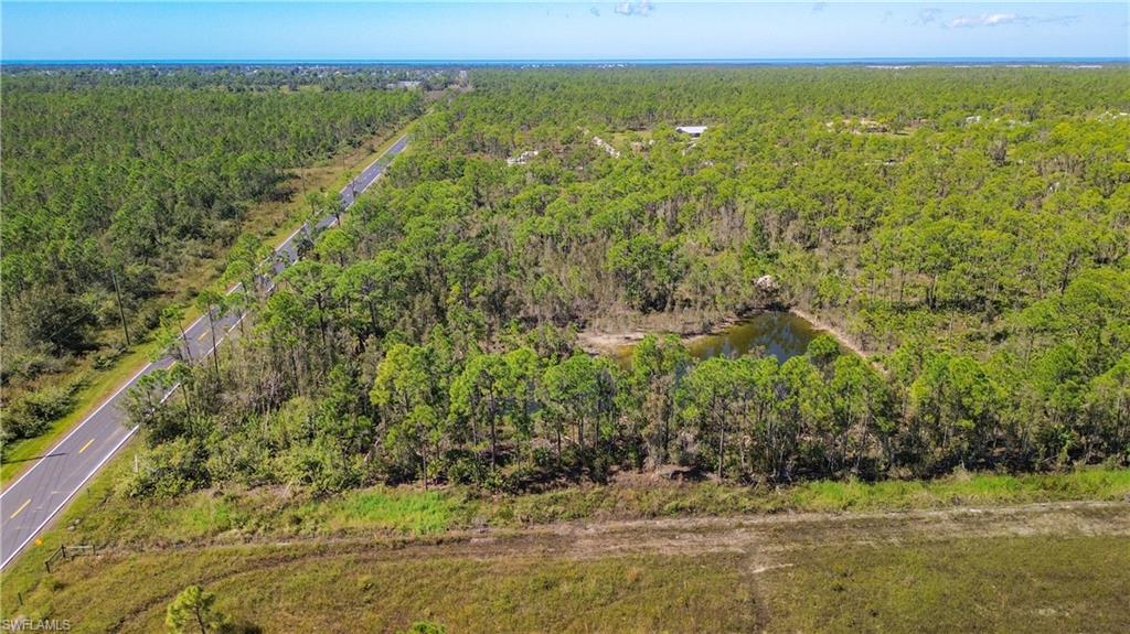 Bird's eye view of a heavily wooded area and a nearby body of water
