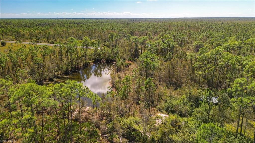 Drone / aerial view of a nearby body of water and a forest