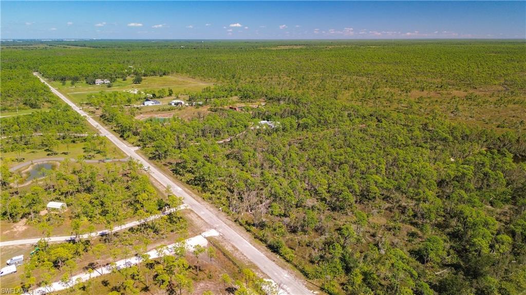 Bird's eye view of a forest