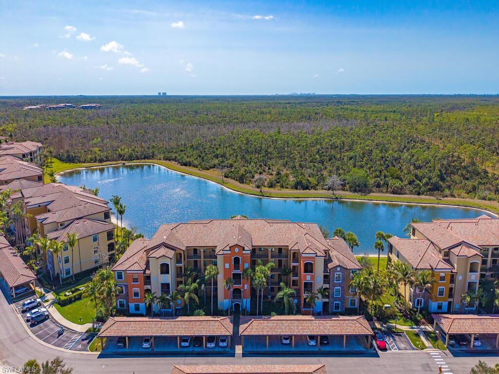 Drone / aerial view of a forest and a large body of water