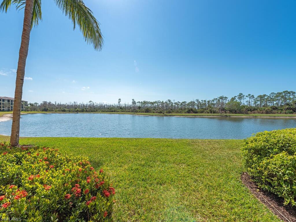 Water view
