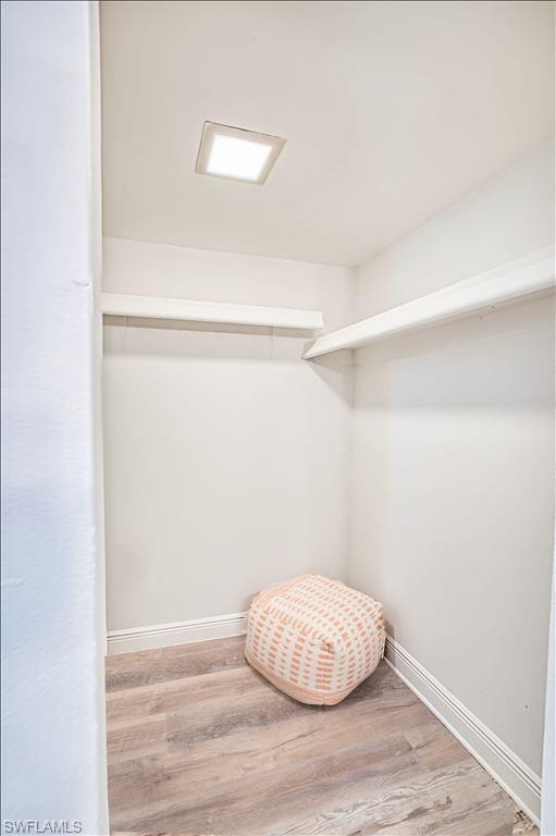 Walk in closet featuring light wood-style flooring
