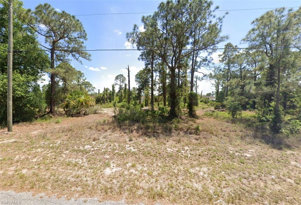 View of undeveloped land
