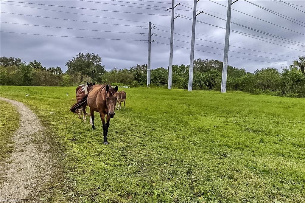 0000 Cutting Horse LN photo 11