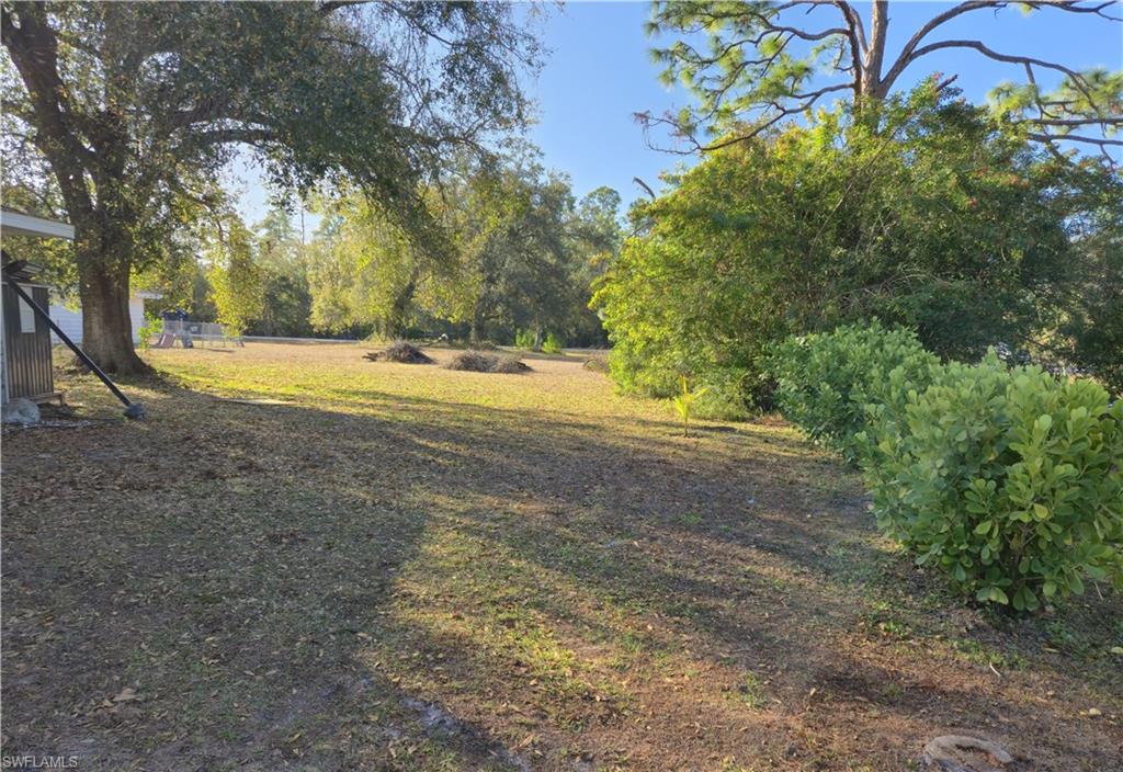 View of grassy yard