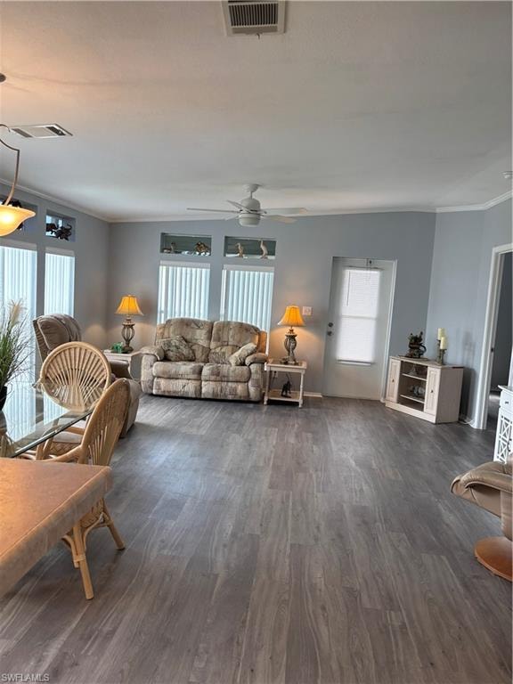 Living room featuring dark wood-type flooring, ornamental molding, and a ceiling fan