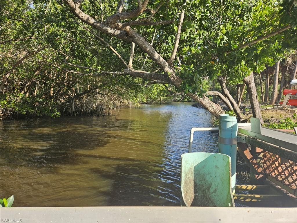 Water view with a boat dock