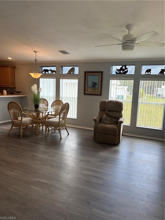 Dining space with healthy amount of natural light, a ceiling fan, and dark wood-type flooring