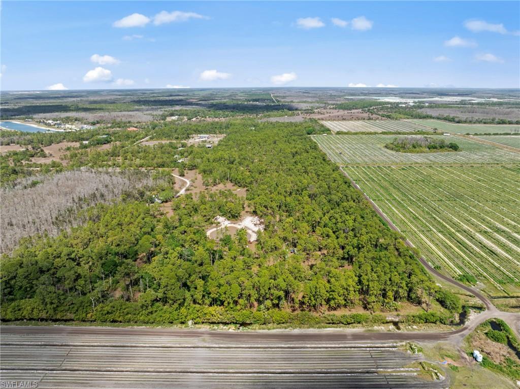 20601 Estero Pines RD photo 6