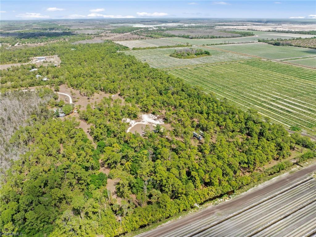 20601 Estero Pines RD photo 7