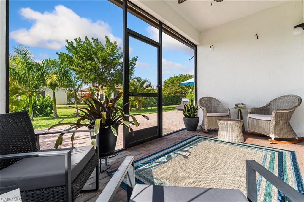 5053 Arancia LN