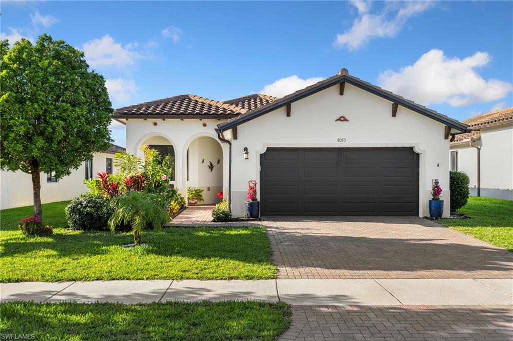 5053 Arancia LN
