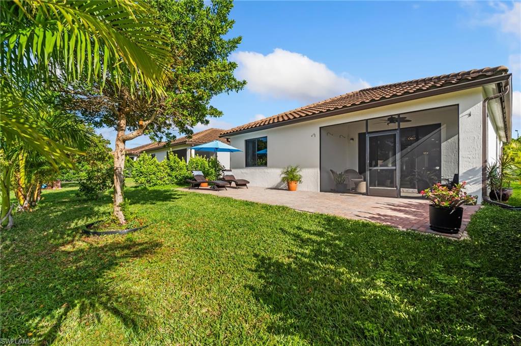 5053 Arancia LN