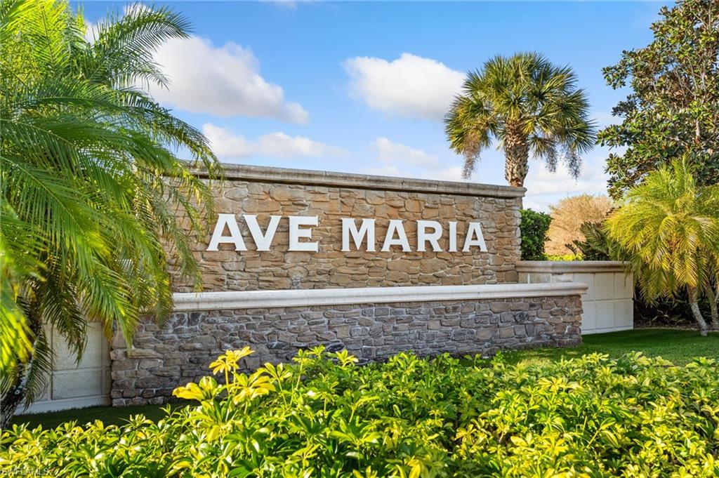 5053 Arancia LN photo 25