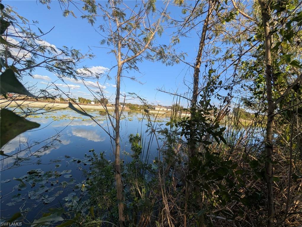 Water view