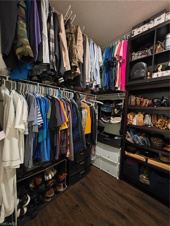 Walk in closet featuring dark wood-type flooring