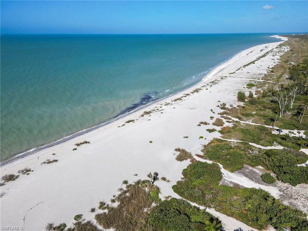 Shoreline view looking west