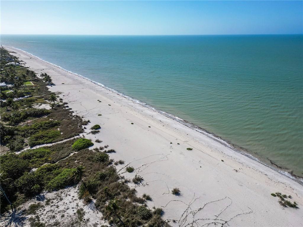 Shoreline view looking east