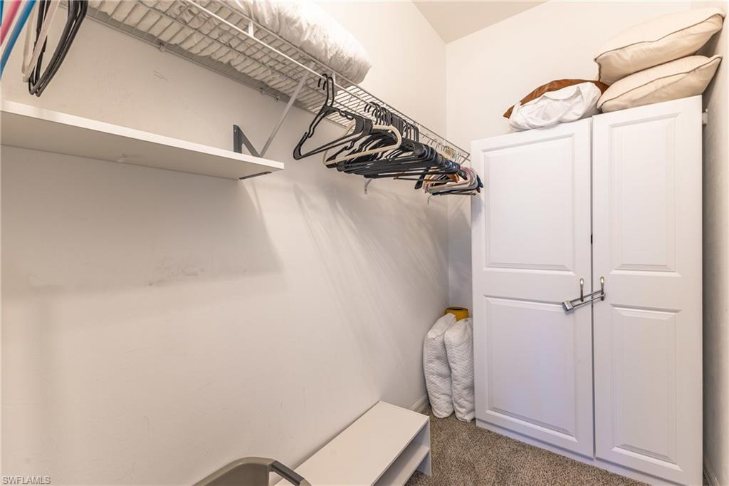 Walk in closet with dark colored carpet