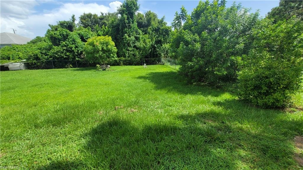 View of yard