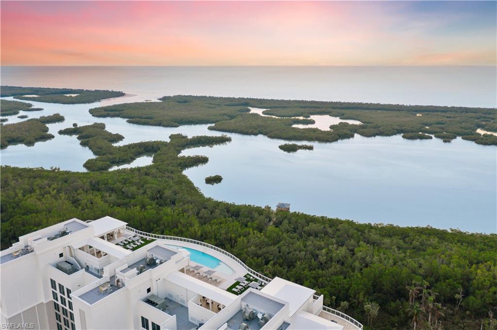 Aerial view at dusk of a forest view and a water view