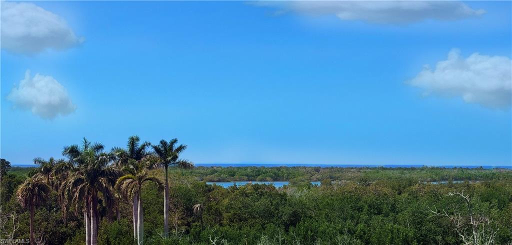 Water view featuring a heavily wooded area