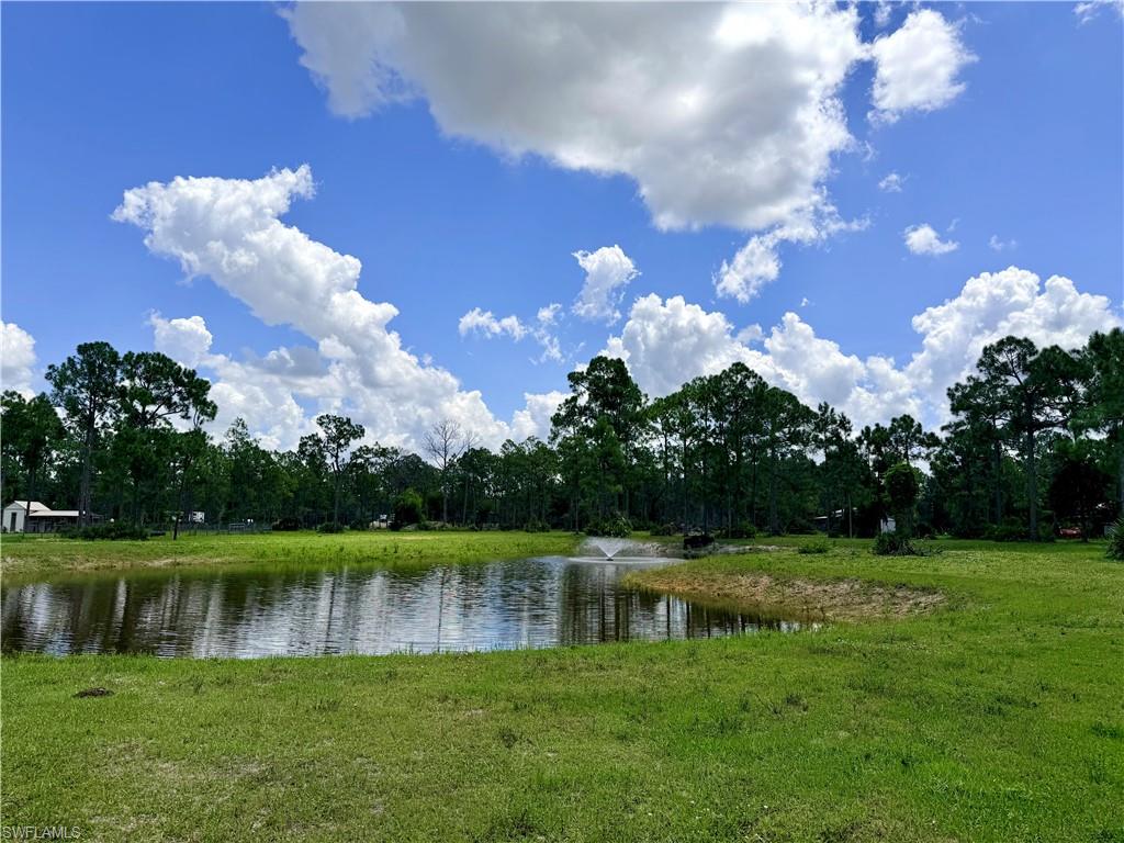 21151 Hidden Woods TRL