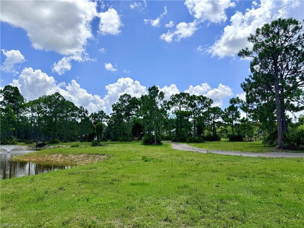 21151 Hidden Woods TRL