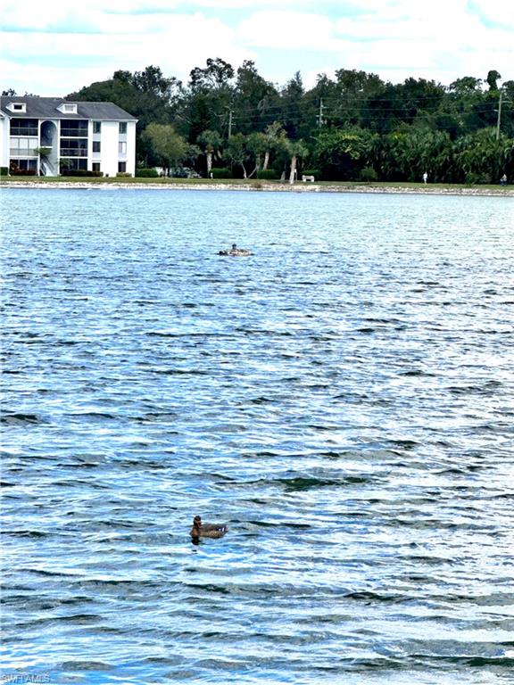 Water view
