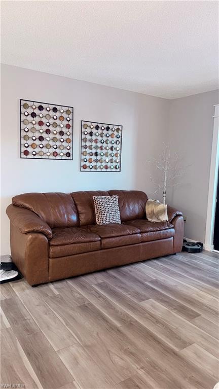 Living area featuring light wood finished floors and a textured ceiling